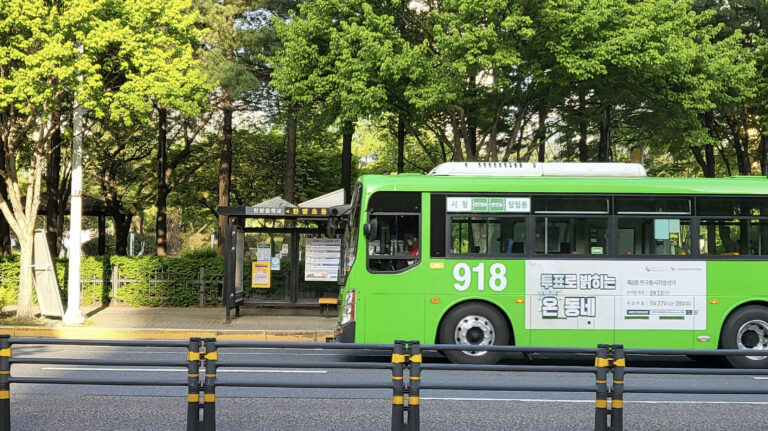 Everyday Life on Korean Buses and at Bus Stops